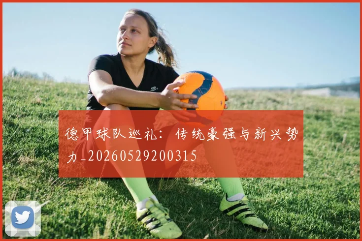 德甲球队巡礼:传统豪强与新兴势力_20260529200315